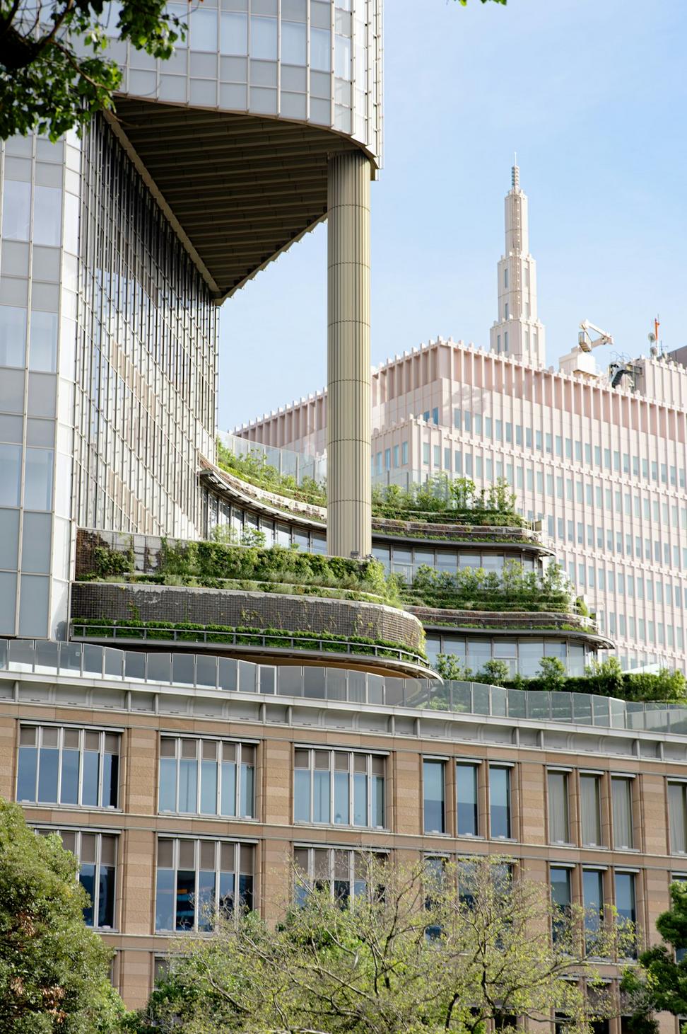 Sustainable Architecture Services